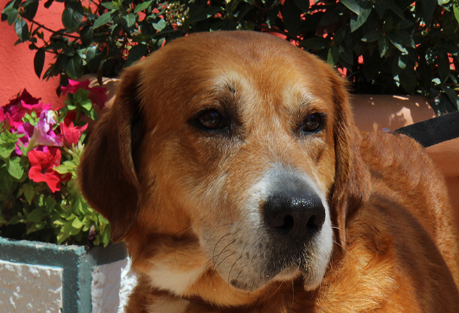 multimedia-foto48527-835-1