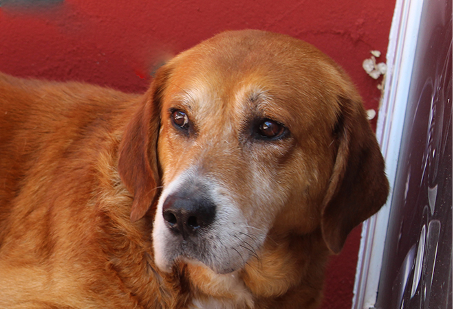 multimedia-foto48528-835-1