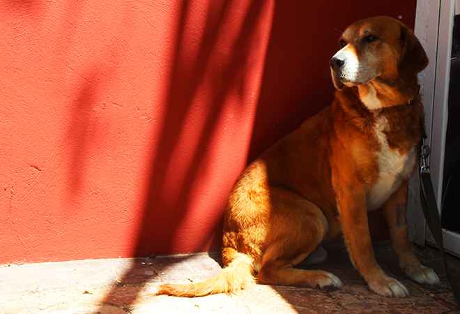 multimedia-foto48529-835-1