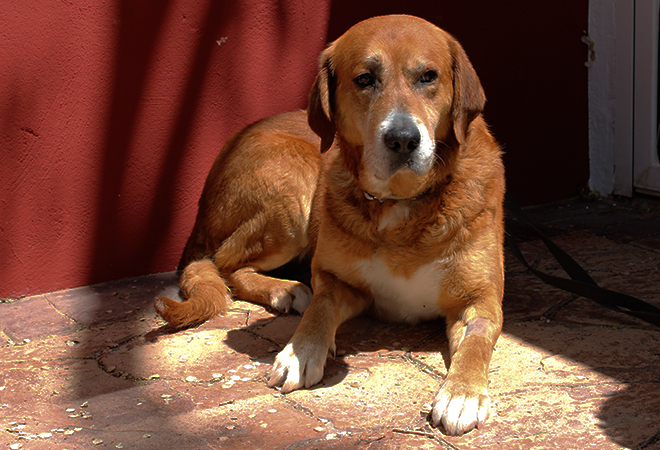 multimedia-foto48530-835-1