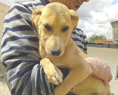 multimedia-foto48544-876-1