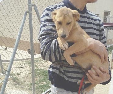 multimedia-foto48545-876-1