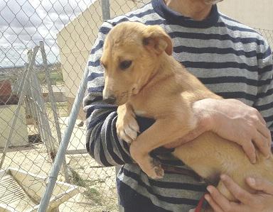 multimedia-foto48546-876-1