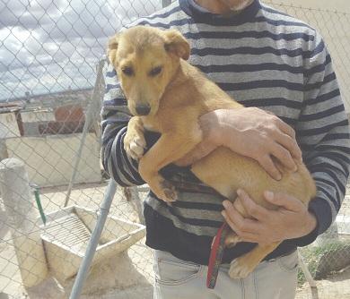 multimedia-foto48547-876-1