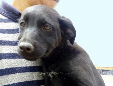 multimedia-foto48564-52-1