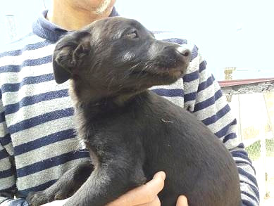 multimedia-foto48565-52-1