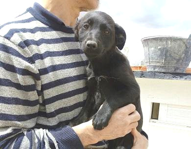 multimedia-foto48566-52-1