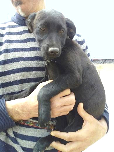 multimedia-foto48567-52-1