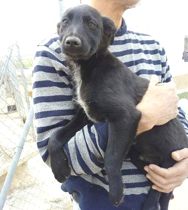 multimedia-foto48568-52-1