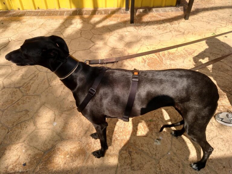 multimedia-foto48570-376-3