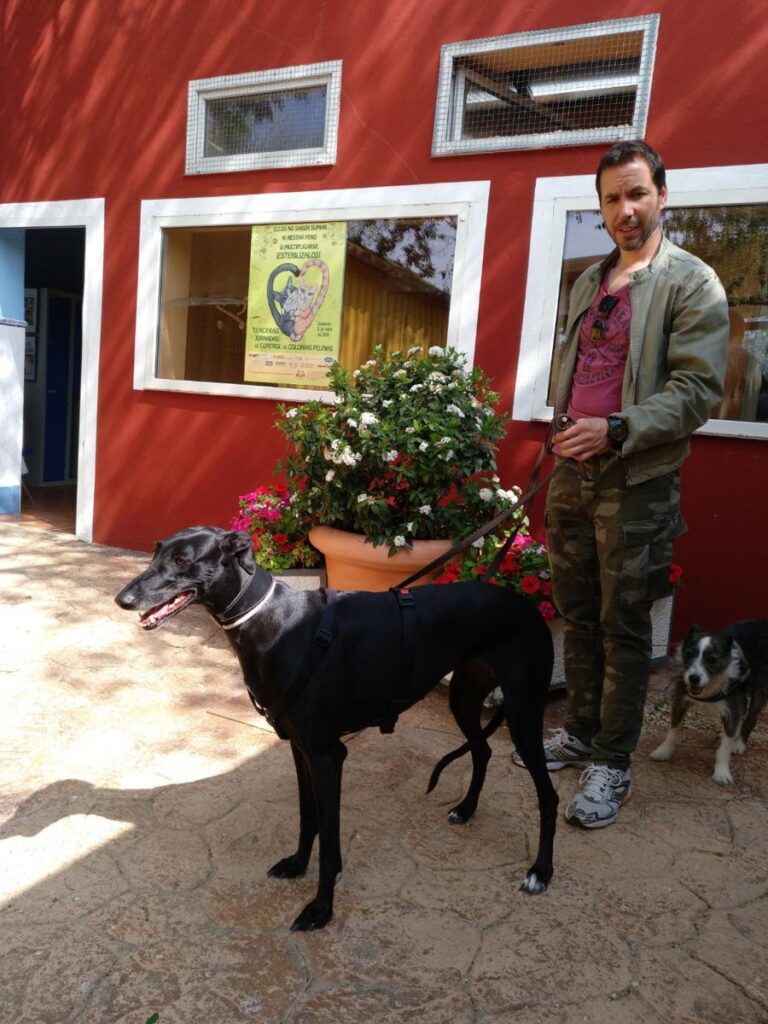 multimedia-foto48571-376-3