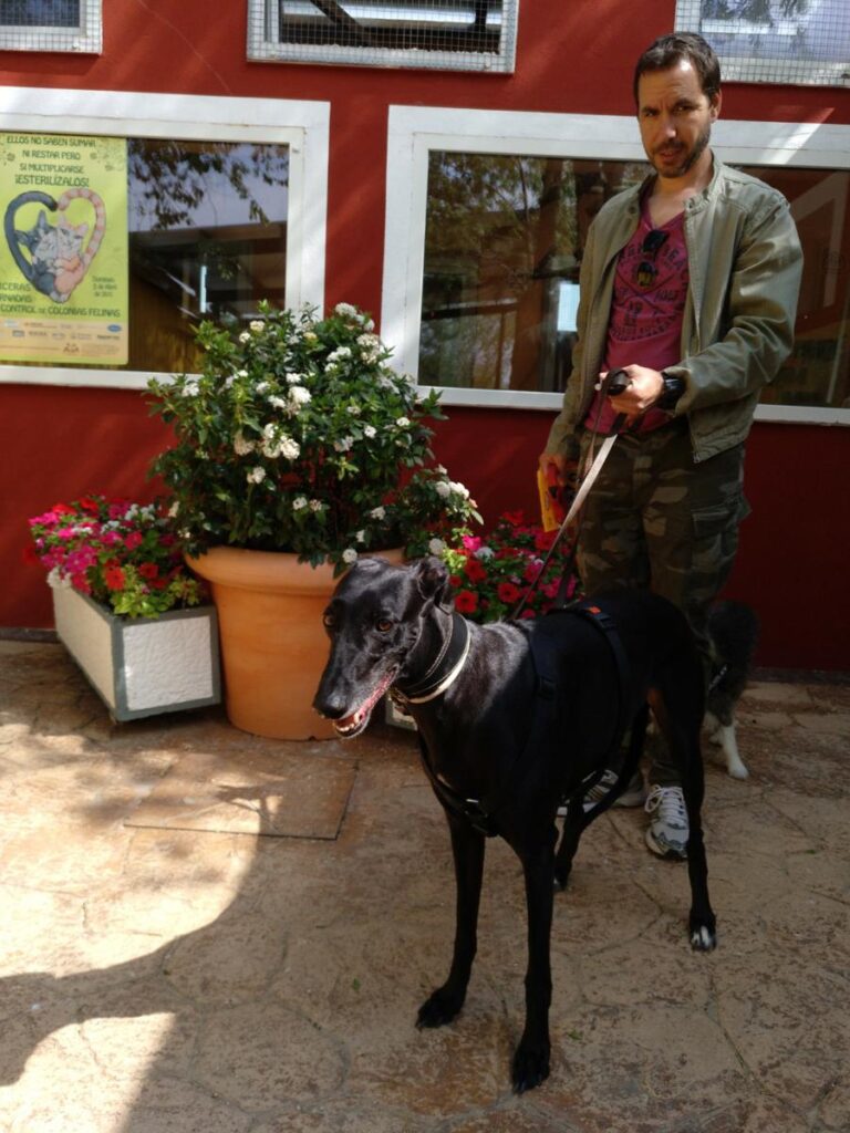 multimedia-foto48572-376-3