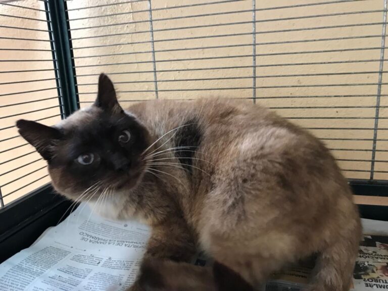 multimedia-foto48574-807-1