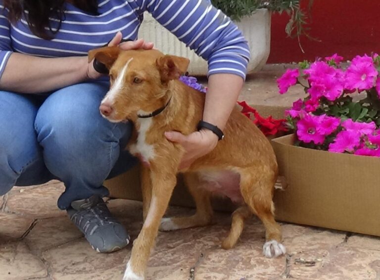 multimedia-foto48578-828-1