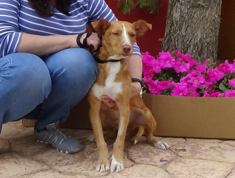 multimedia-foto48579-829-1