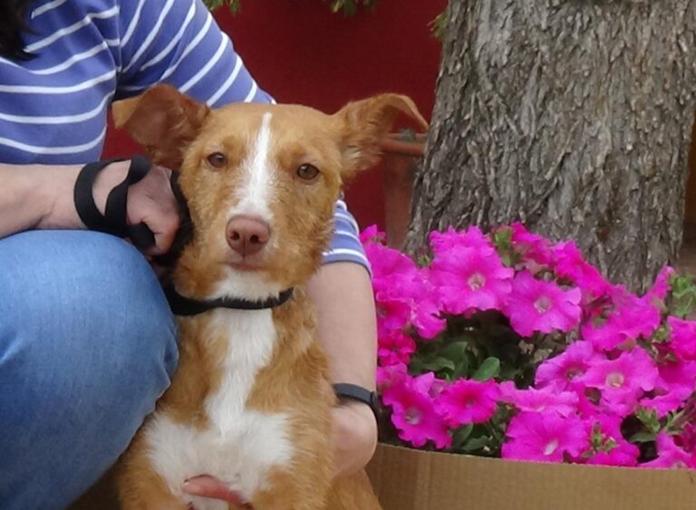 multimedia-foto48581-829-1