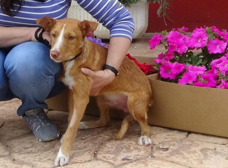 multimedia-foto48582-829-1