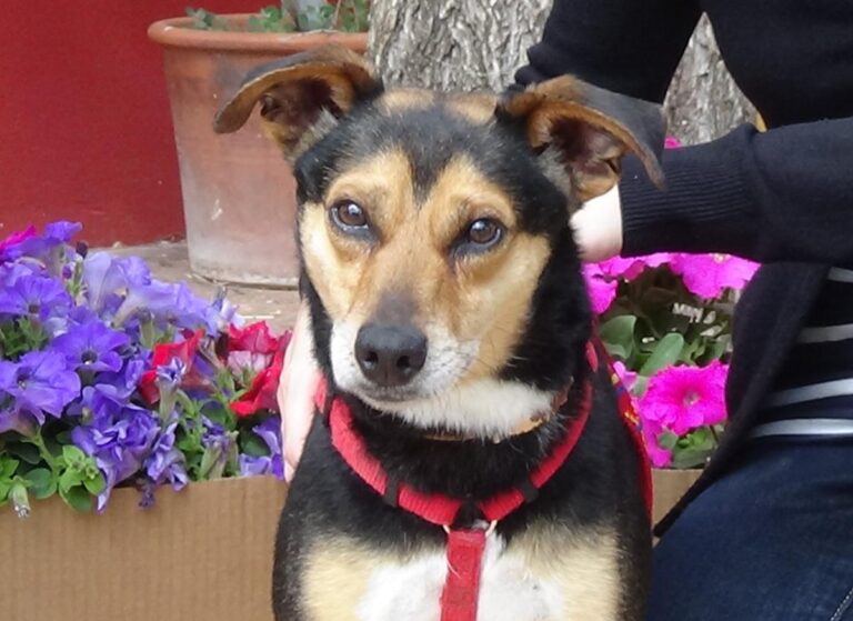 multimedia-foto48583-899-1