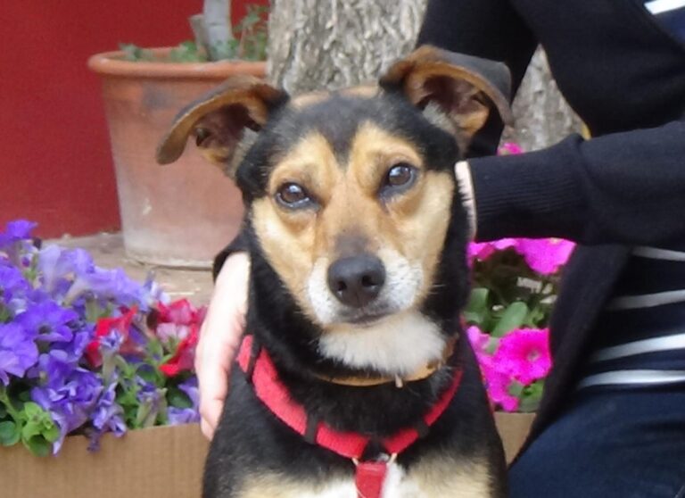 multimedia-foto48584-899-1