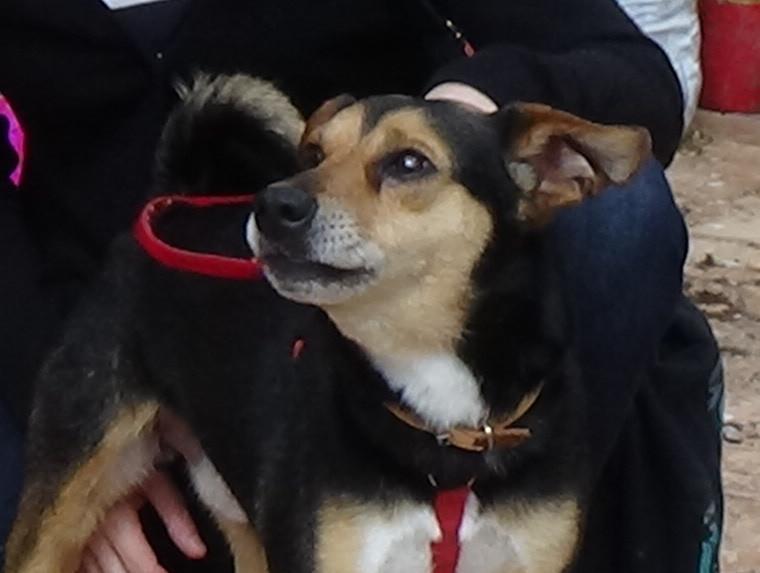 multimedia-foto48585-899-1