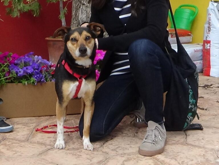 multimedia-foto48586-900-1