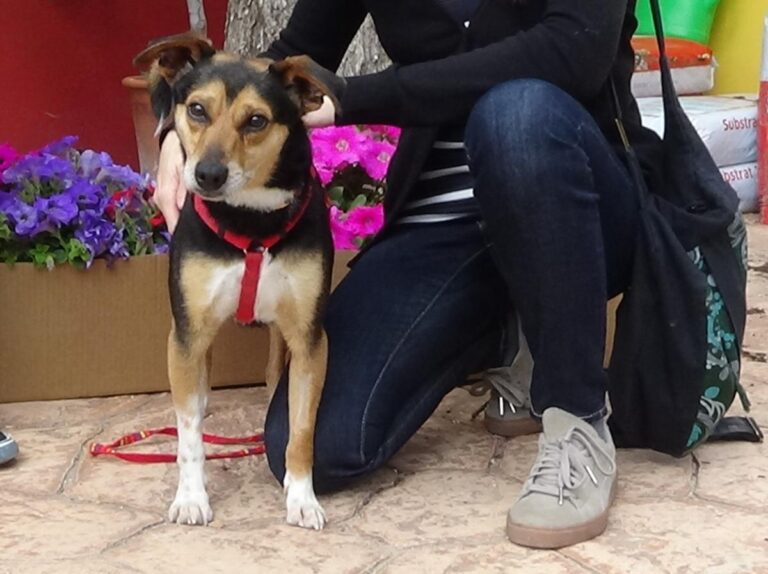 multimedia-foto48587-900-1