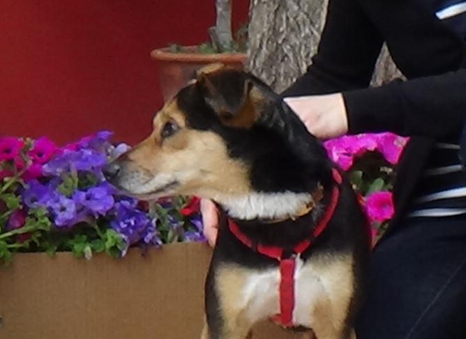 multimedia-foto48588-900-1