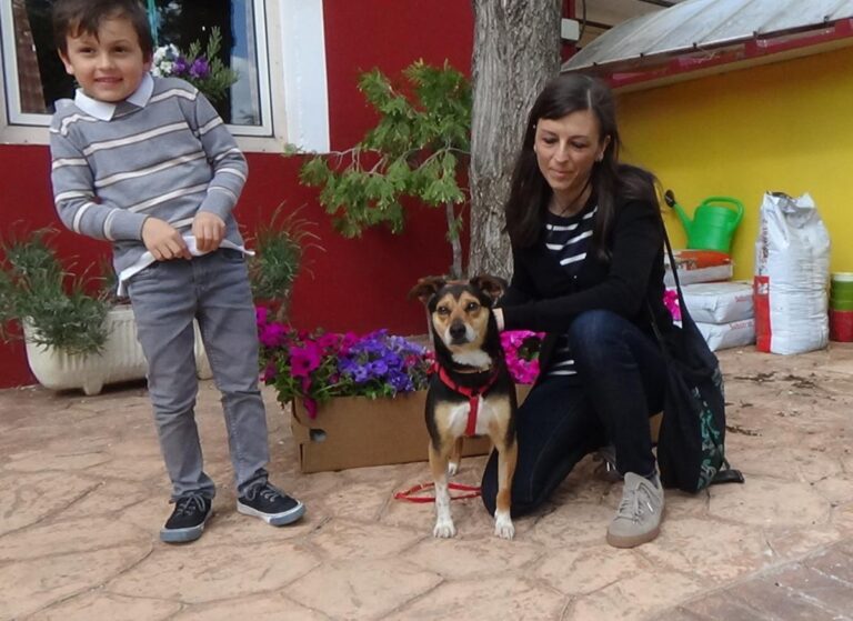 multimedia-foto48589-900-1