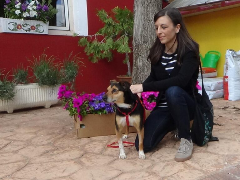 multimedia-foto48590-900-1