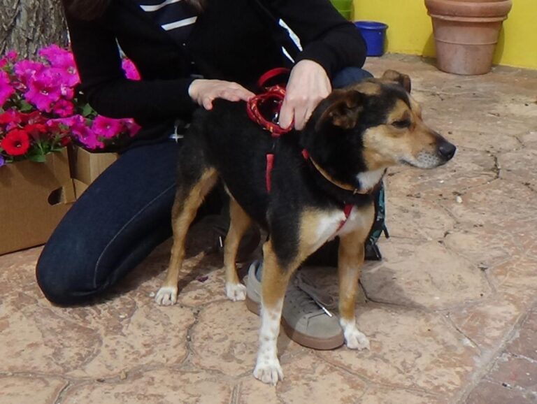 multimedia-foto48591-901-1