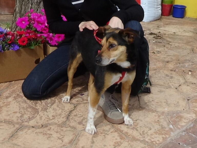 multimedia-foto48592-924-1