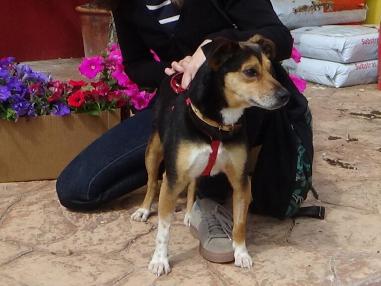 multimedia-foto48593-925-1