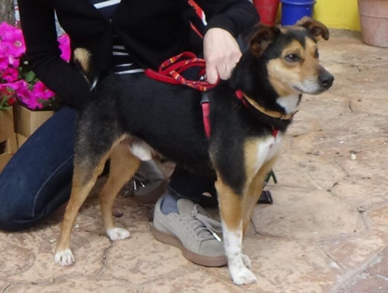 multimedia-foto48594-925-1