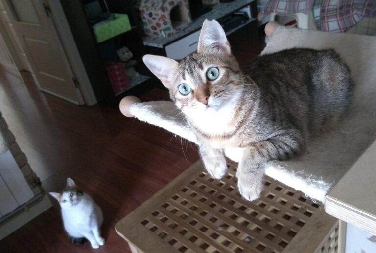 multimedia-foto48596-289-3