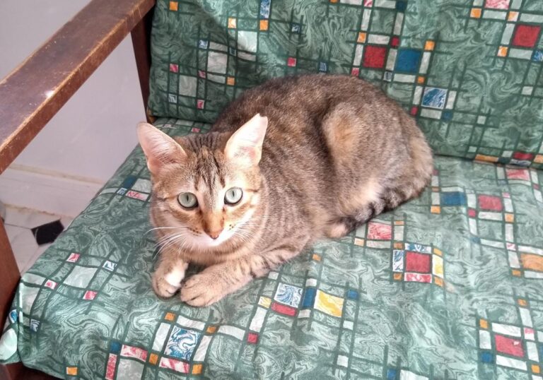 multimedia-foto48597-289-3