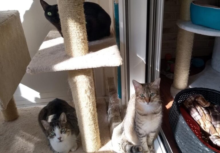 multimedia-foto48598-289-3