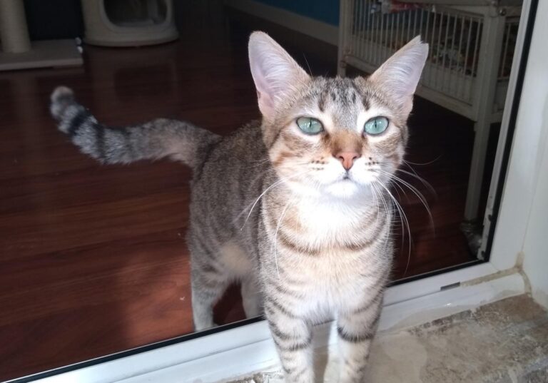 multimedia-foto48601-290-3