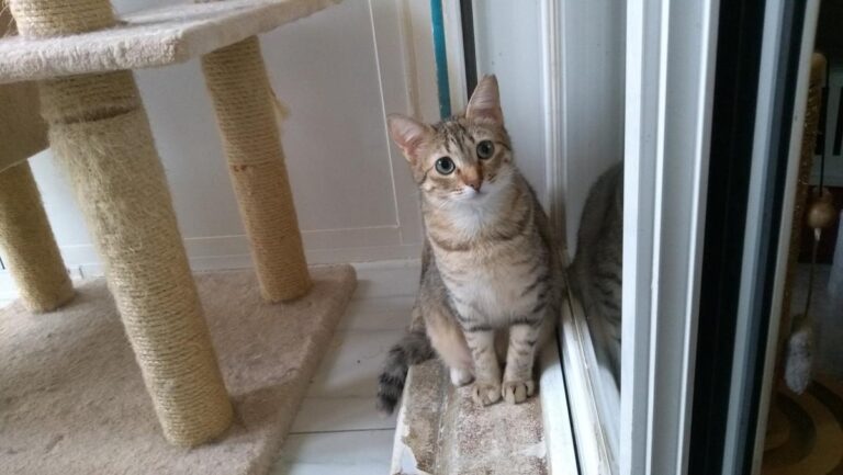 multimedia-foto48603-324-3