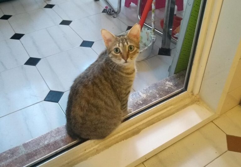 multimedia-foto48605-325-3