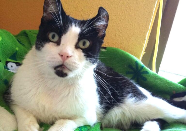 multimedia-foto48607-39-1