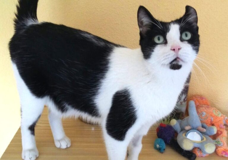 multimedia-foto48608-40-1