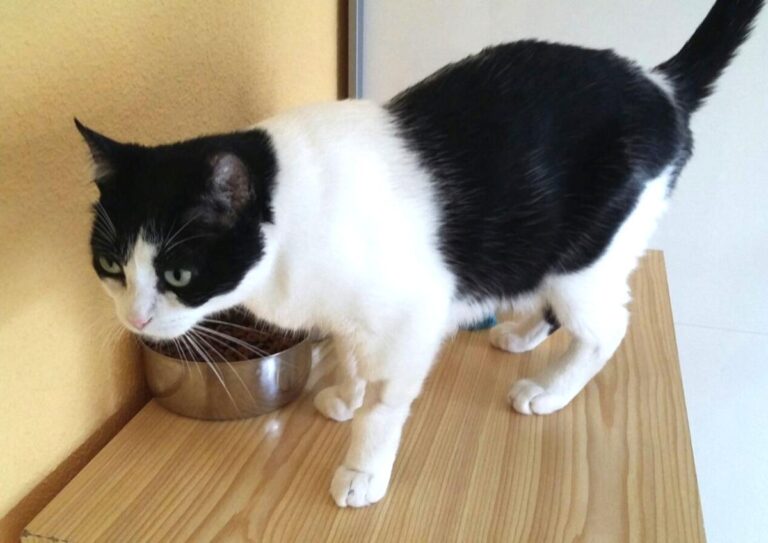 multimedia-foto48609-40-1