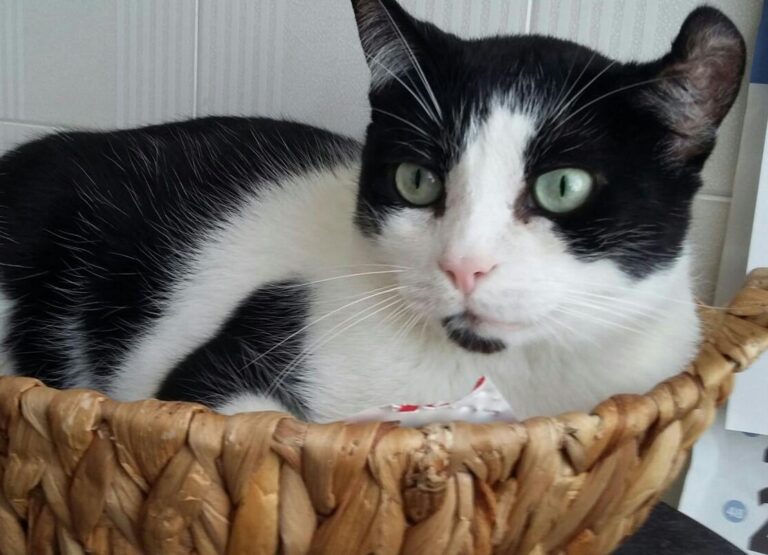 multimedia-foto48610-40-1