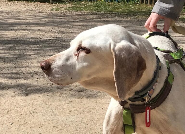 multimedia-foto48613-384-1