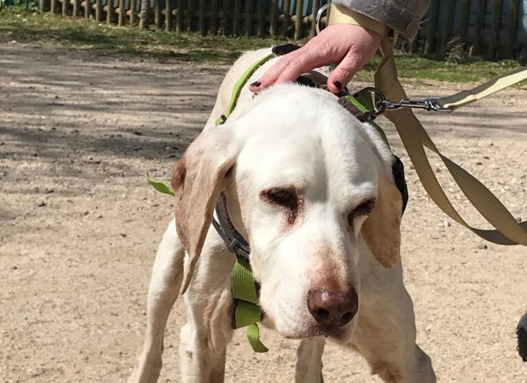 multimedia-foto48614-385-1