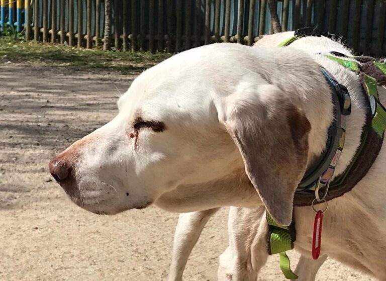 multimedia-foto48615-385-1