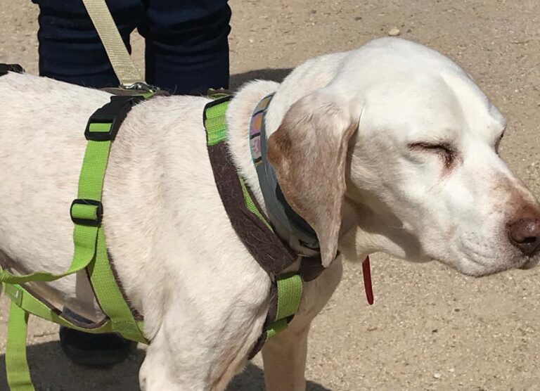 multimedia-foto48616-385-1