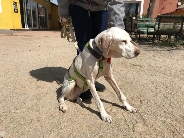 multimedia-foto48617-385-1