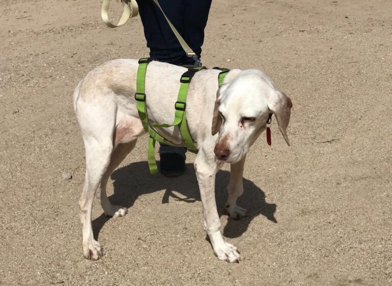 multimedia-foto48618-386-1