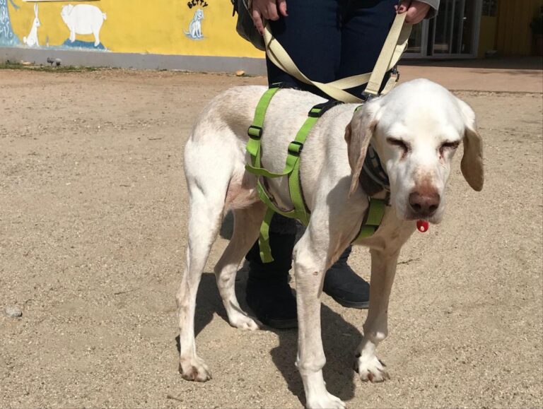 multimedia-foto48619-386-1